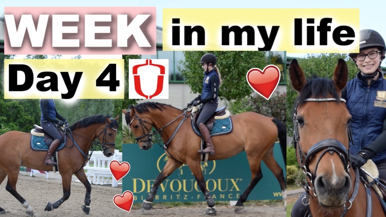 One WEEK with me | Flatwork | Student Athlete @Hartpury | Ride Every Stride
