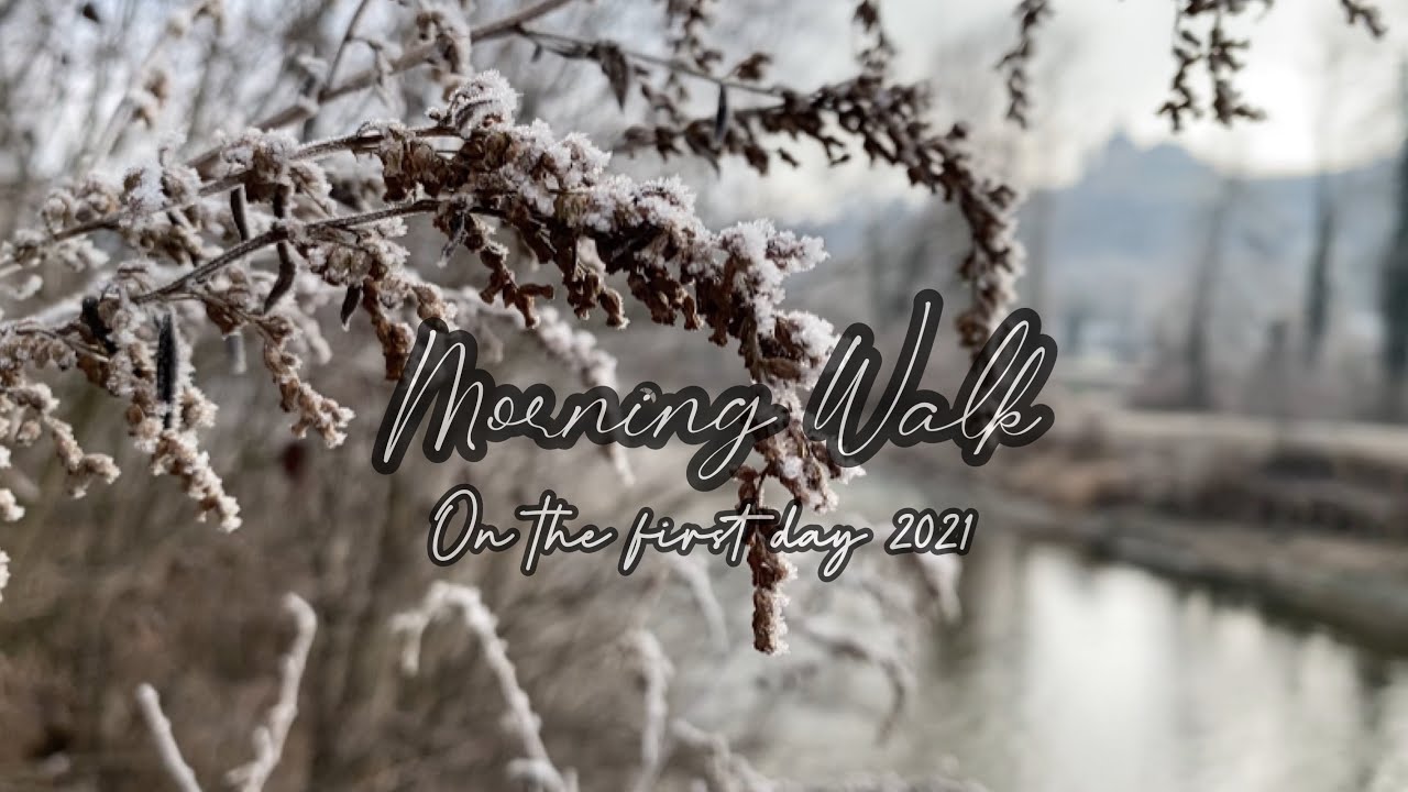 Morning walk on the first day of 2021 || Steyr River - Austria || Frozen Morning
