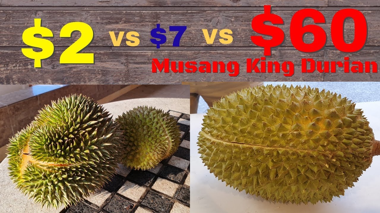 $2 Durian VS $60 Musang King Durian (Mao Shan Wang) | 榴莲 | ドリアン | Sầu Riêng