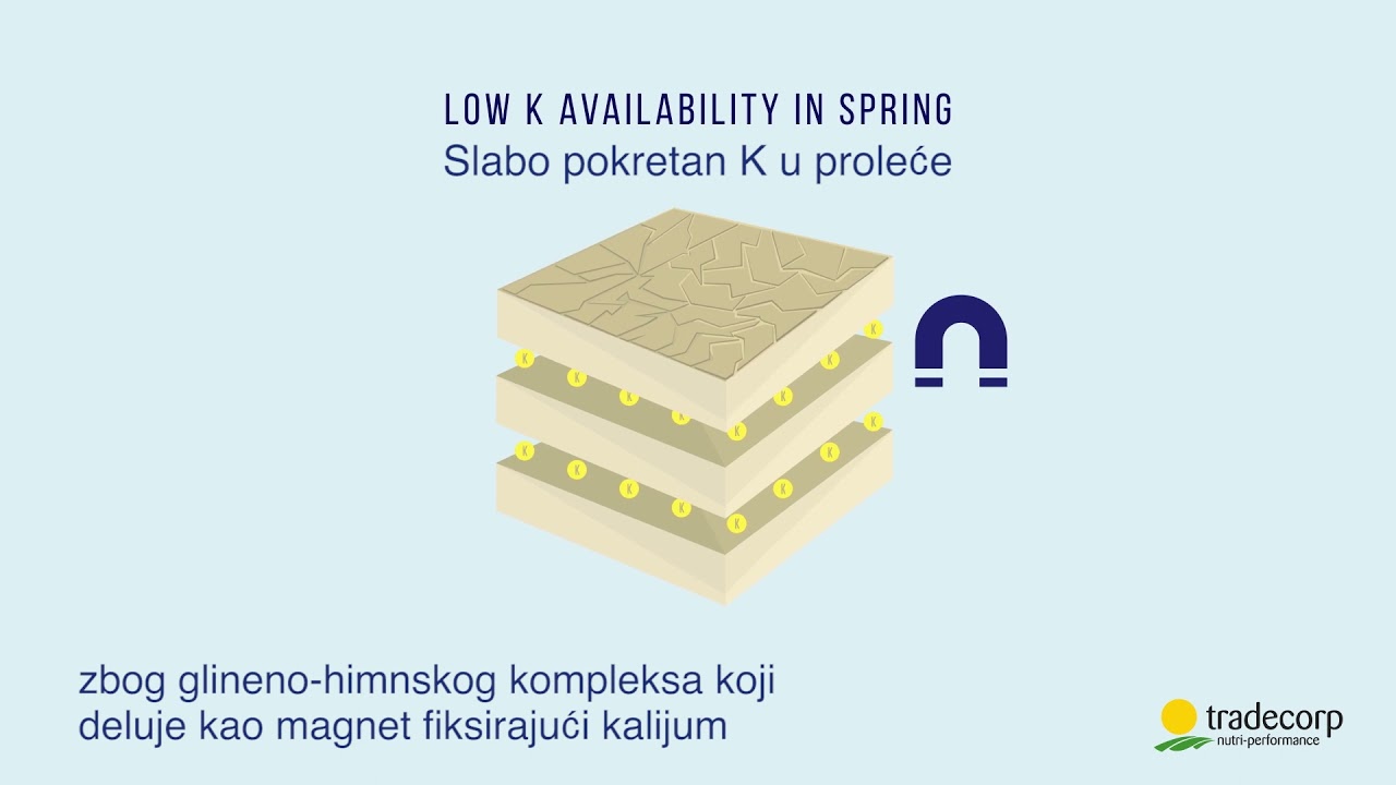 Trafos: fosfor i kalijum, energija za biljku.