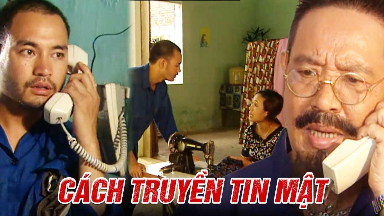 Hé lộ cách mà cảnh sát mật TRUYỀN THÔNG TIN cho cấp trên | Cổ cồn trắng | Kho Phim VTV