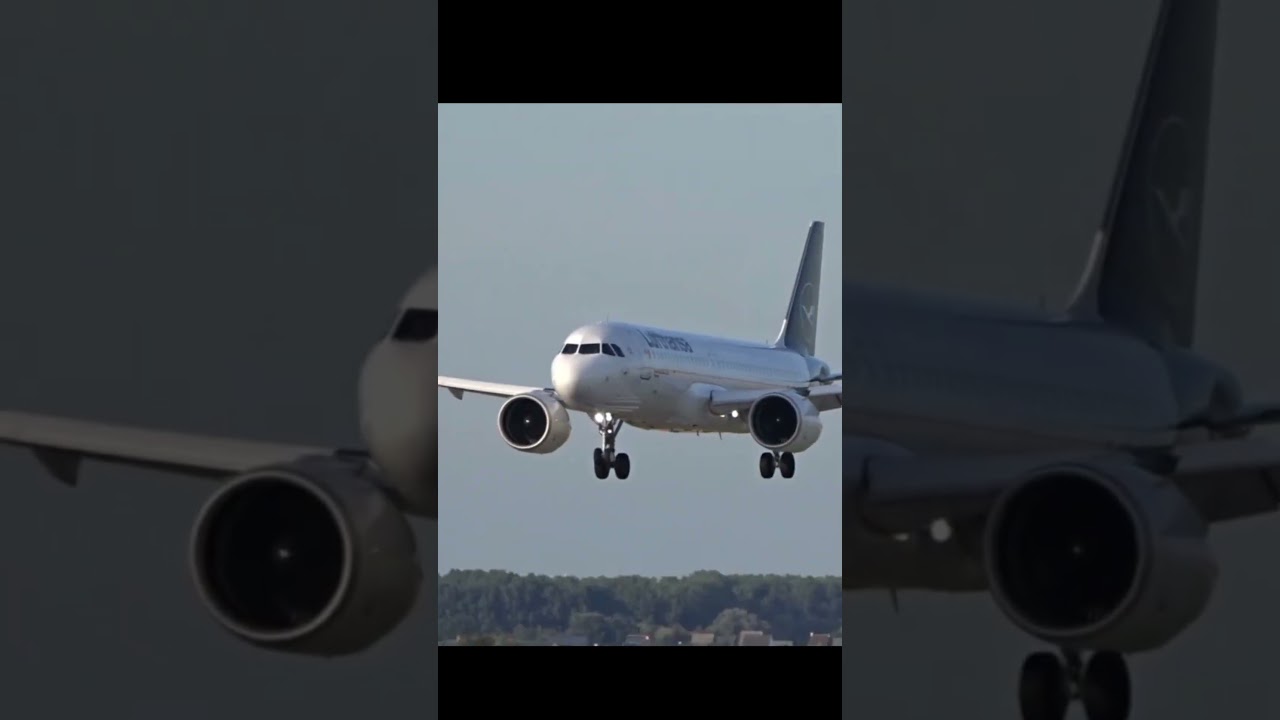 A320 EXtras #a320n #aviation