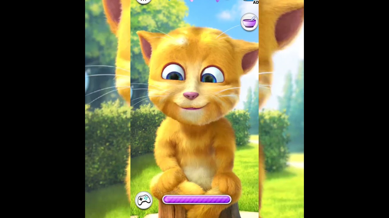 Talking ginger 🐈🤣 funny cat video 🐈 #talkingtom #talkingtomversion #funnycat #cat