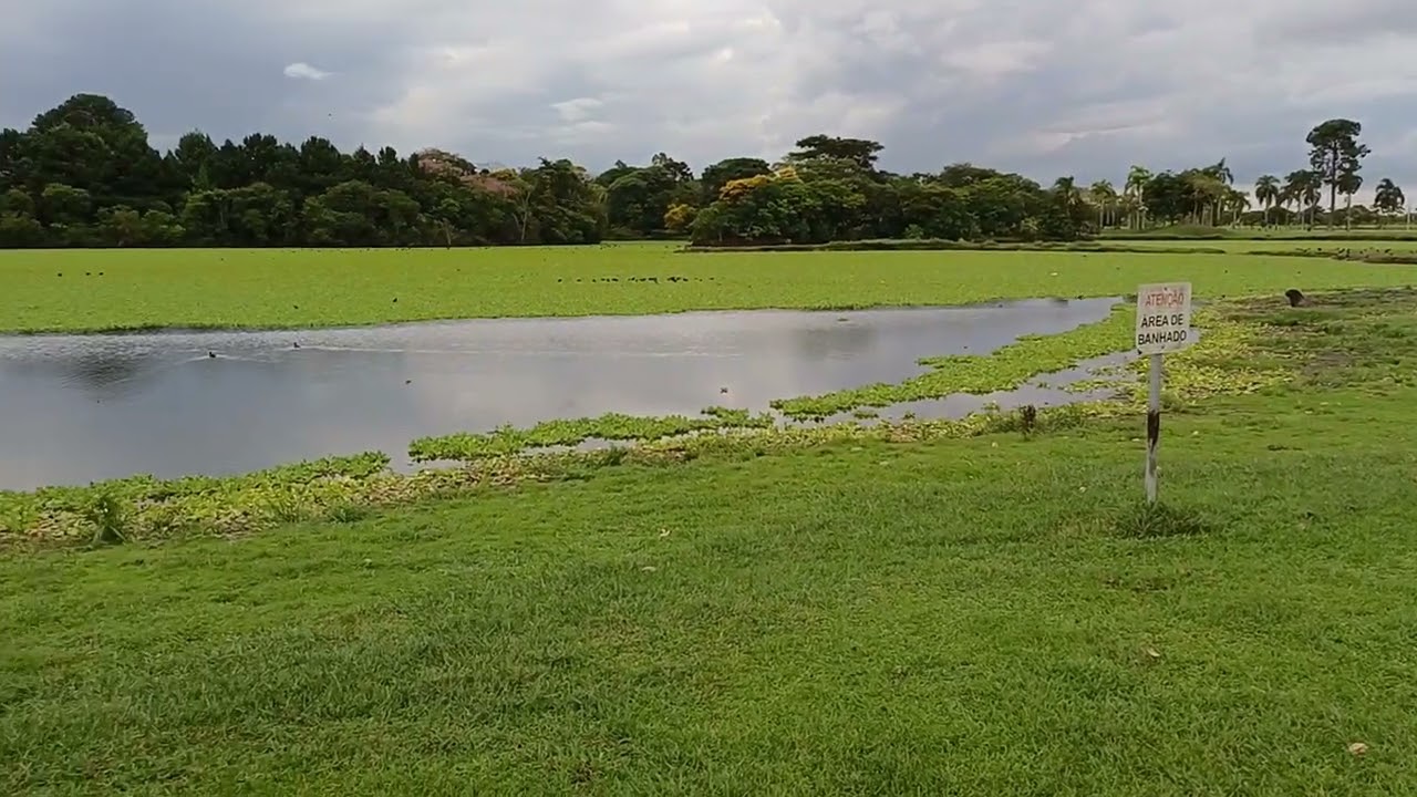 Parque náutico de Curitiba Paraná 