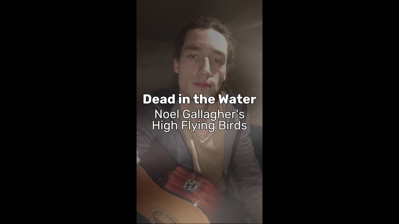 [Cover du Jeudi] Dead in the Water - @noelgallagher