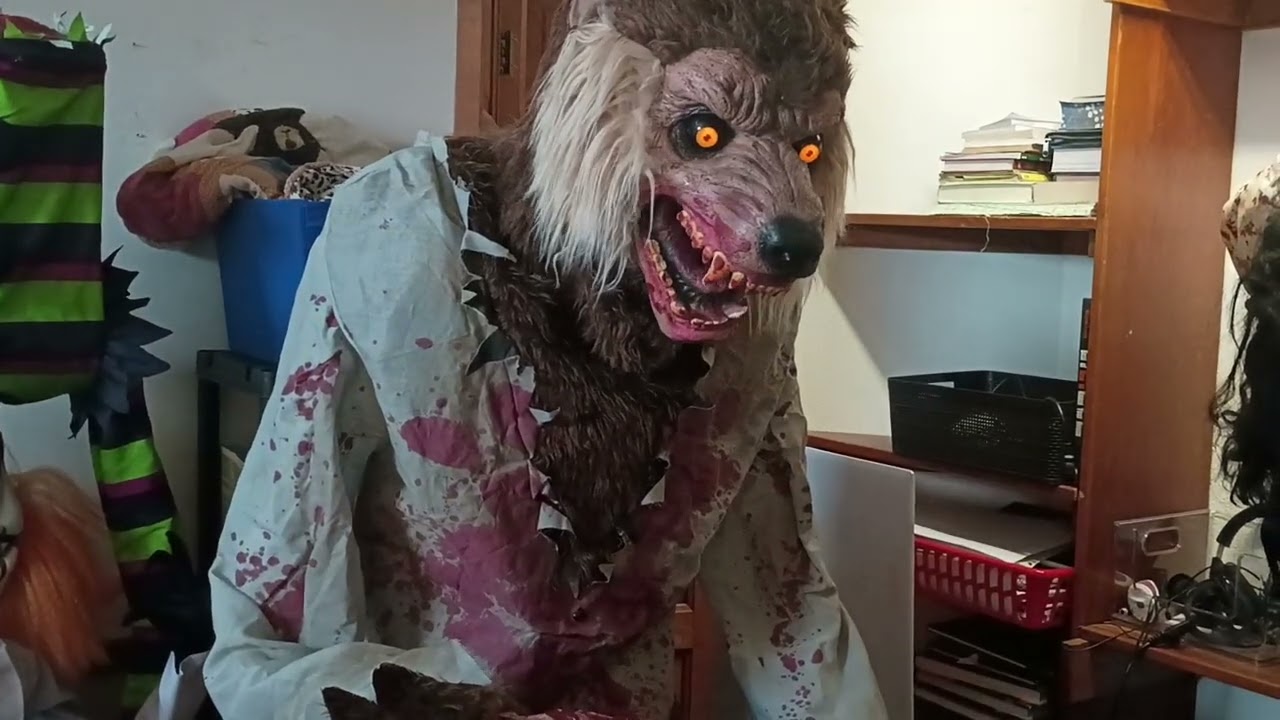 Lurching Cursed Werewolf Animatronic Demo (Finally Working again) - Morris Costumes 2014-2016