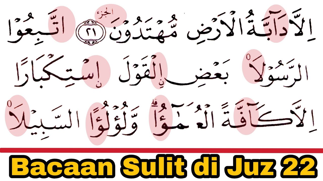 Bacaan Sulit di Juz 22 | Semangat Tadarus di Hari 22 Ramadhan