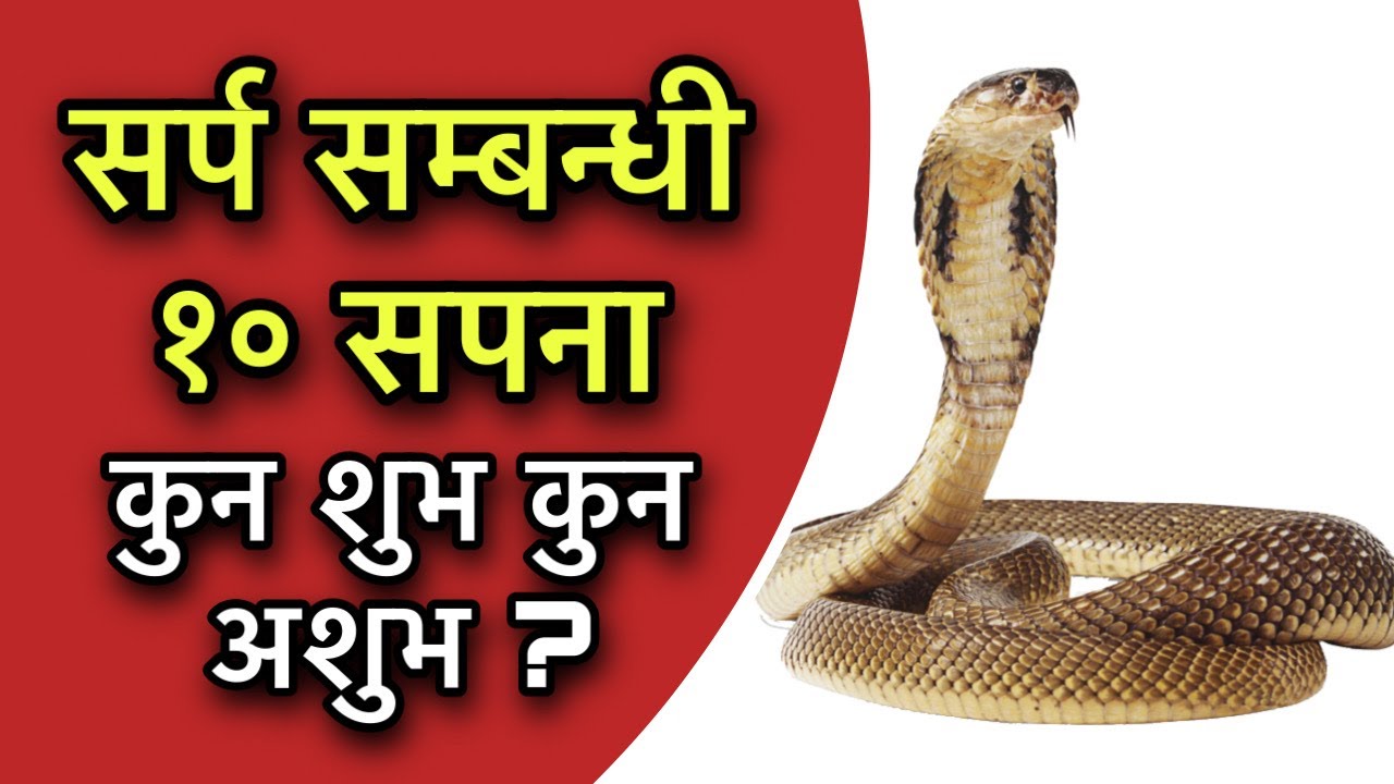 सर्प  सम्बन्धी १० सपना कुन शुभ कुन अशुभ ? Meaning of Dream
