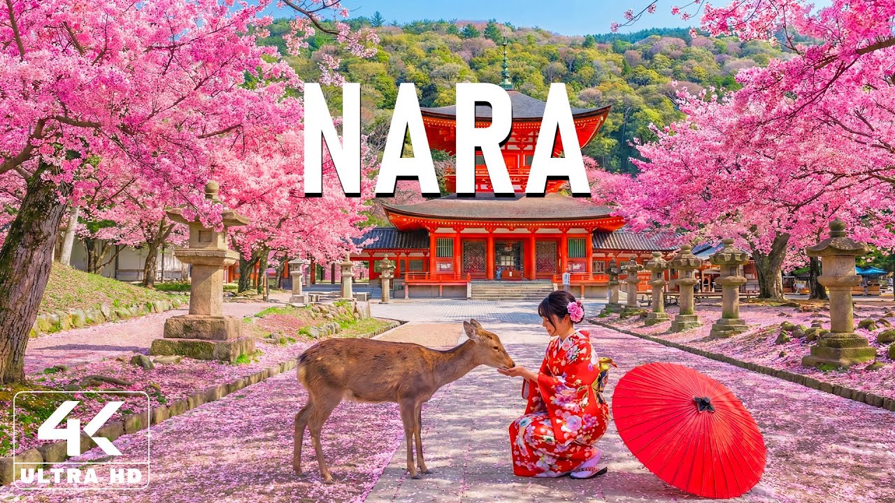 Весна в Наре, Япония, 4K 🌸 Цветущая сакура, исторические святилища и неподвластная времени Япония