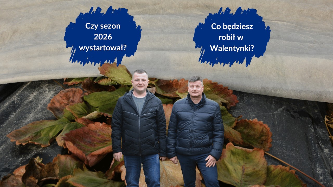 Czy sezon 2026 wystartował? W tłusty czwartek rozmawiamy czy w Walentynki zamykamy tunele foliowe?
