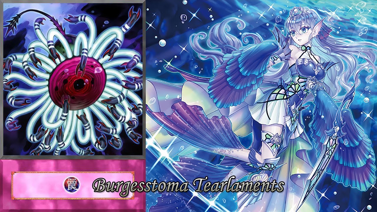 YGO Master Duel -Burgesstoma (Paleozoic) Tearlaments vs Adventurer Virtual World