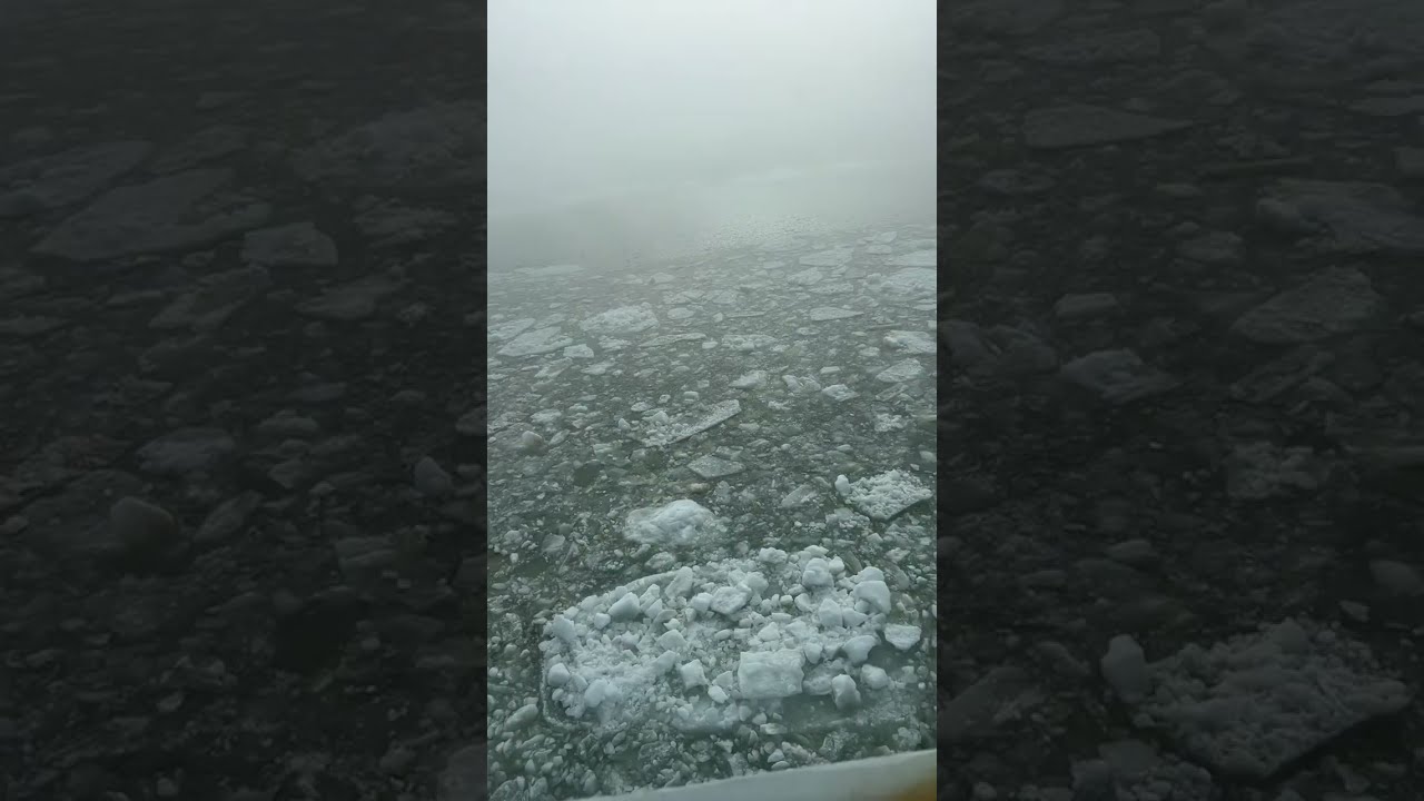 Прогулка с Ксенией в прямом эфире!