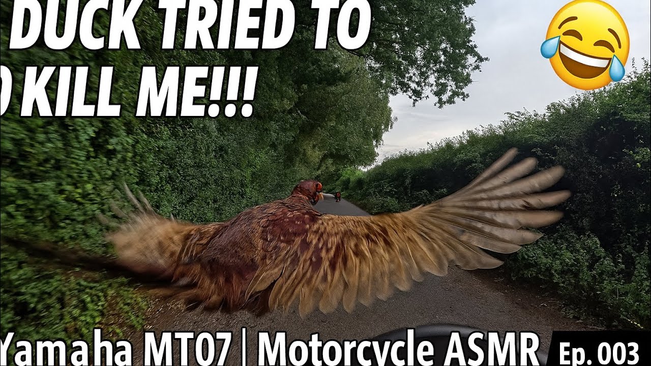A Duck Tried To Kill Me! 🦆 | Yamaha MT07 Farthing Downs Countryside Ride | Motorcycle ASMR | Ep. 003