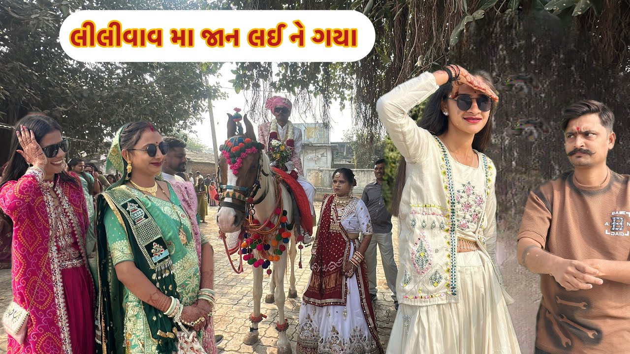 લીલીવાવ મા જાન 