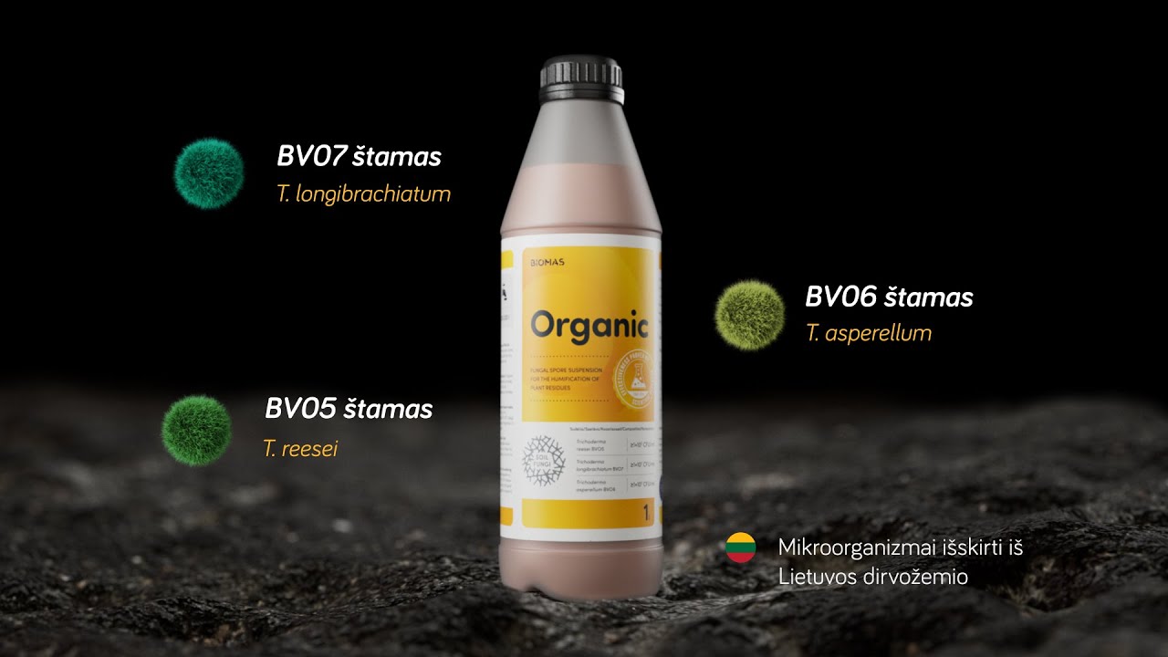 Biomas ORGANIC mikroskopinių grybų veikimas // Bioversio