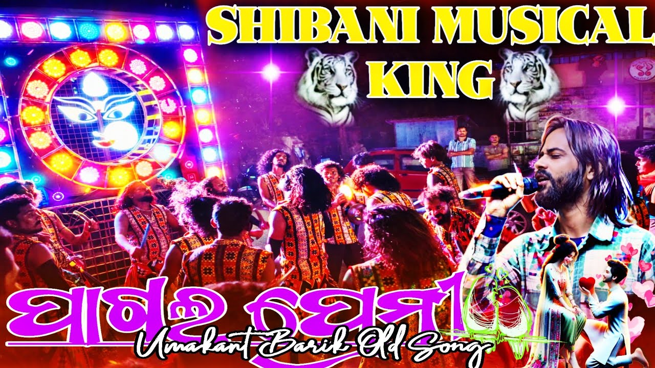 Shibani Musical King 👑 || Pagal Premi ❤️ || Shibani Musical Raphakhal 