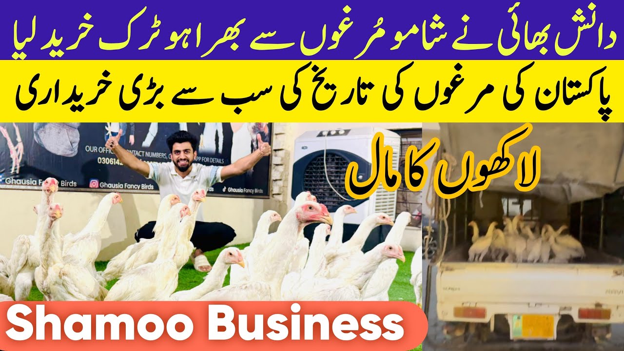 Tareekhi Buying Shamoo ki History Kee || Pura Truck Khareed Lia Danish Bhai Ne