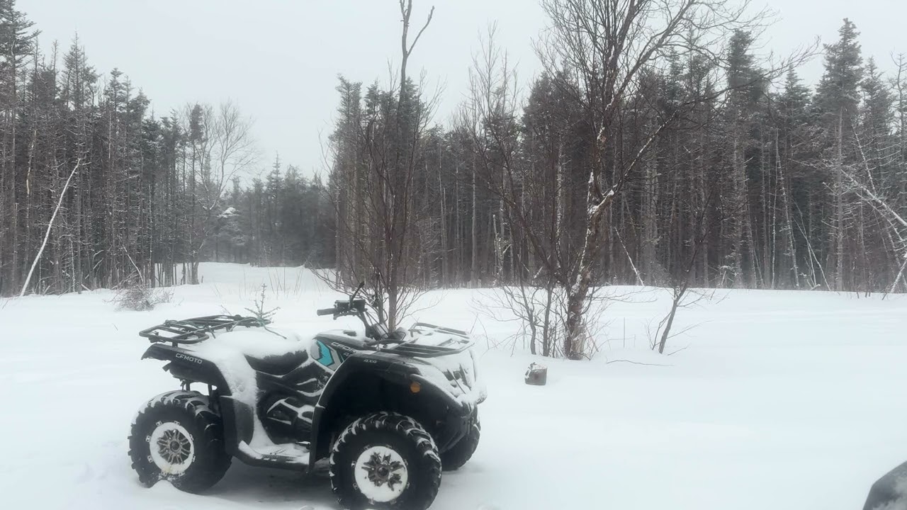 Stormy, quad broke down or froze up, -28 windchill this morning… 90km winds.  Winter over yet? 