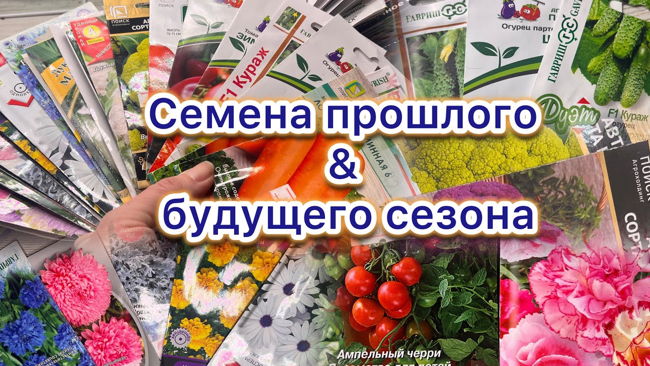 Семена! Какие повторю в этом сезоне, а от каких откажусь.