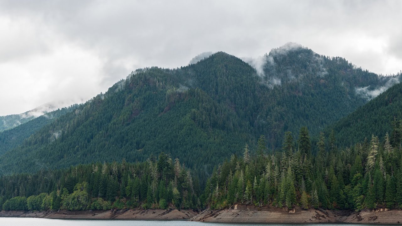 A Moody Rainy Day Hike in Olympic National Forest (Unfinished Vlog)