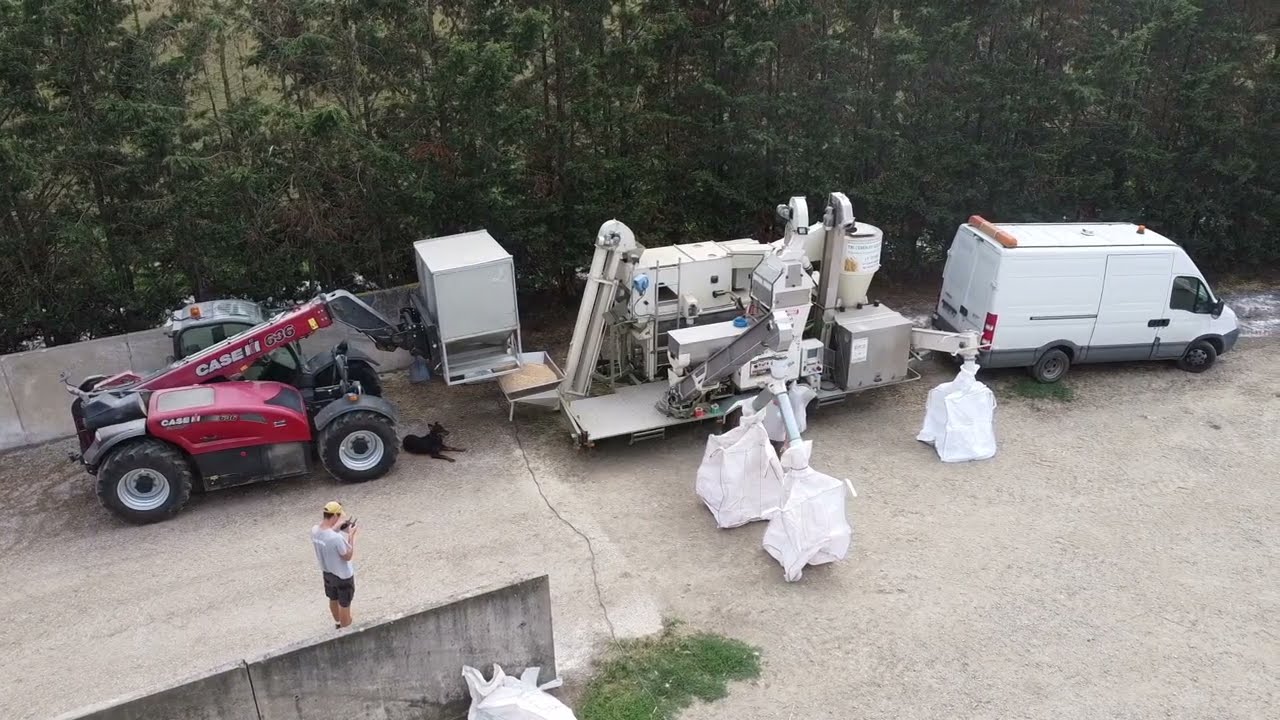 Triage du blé pour la semence