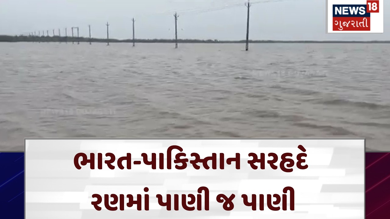 Waterlogging at Indo - Pak Border | ભારત-પાકિસ્તાન સરહદે રણમાં પાણી જ પાણી | Nadabet Border | N18V