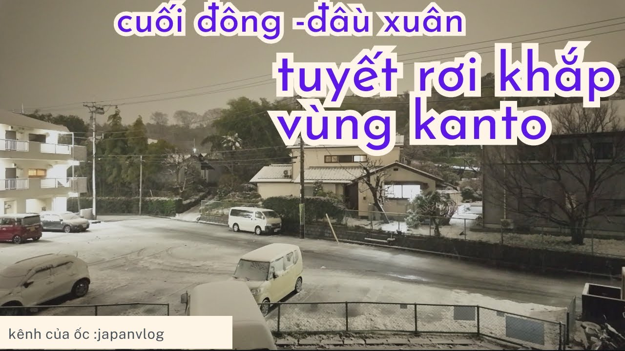 🇯🇵Tuyết rơi khắp vùng Kanto Nhật Bản đặc biệt 23 quận của tokyo