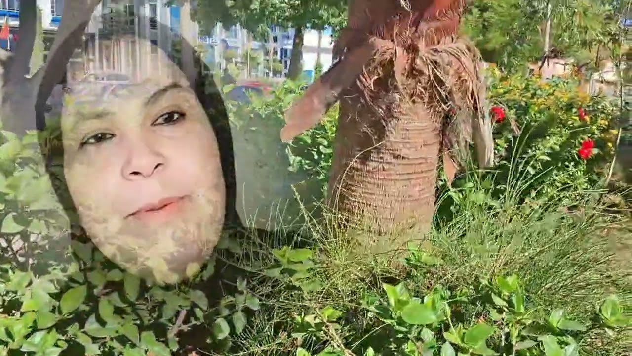 😱خرجات كتبهى بالتتائج إلي حققات حرمات الولاد من باهم وضمرات ليهم النفسيه 😲