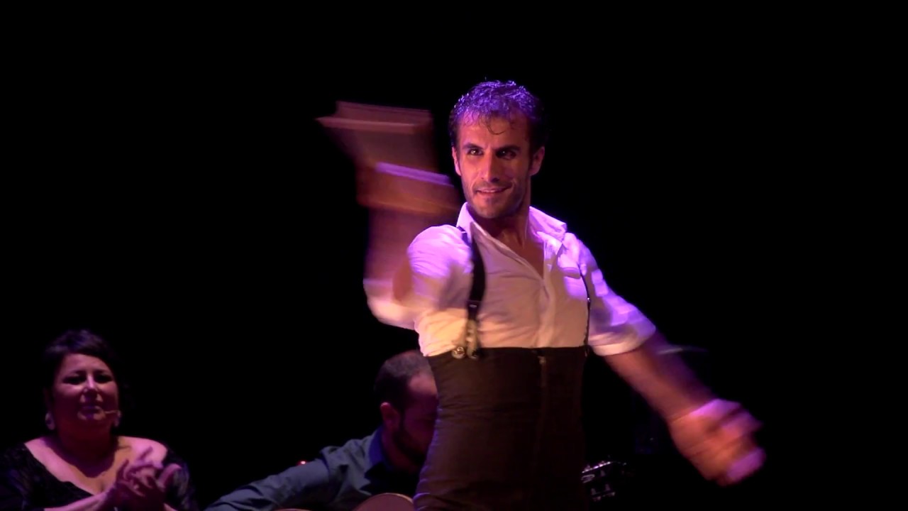 Resumen de TOQUES EN MI CONCIENCIA de la CIA. FLAMENCA RAFAEL RAMÍREZ