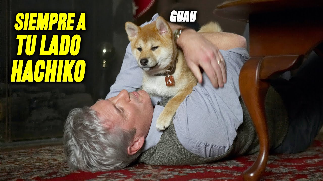 SIEMPRE A TU LADO HACHIKO | RESUMEN EN MINUTOS