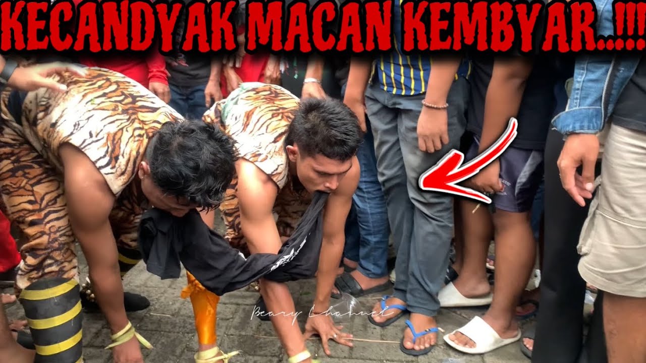 MACAN MACANAN at PERUM FLAMBOYAN BANJARSARI - JARANAN MUNCUL BUDOYO BERAN LOR - BANYUWANGI