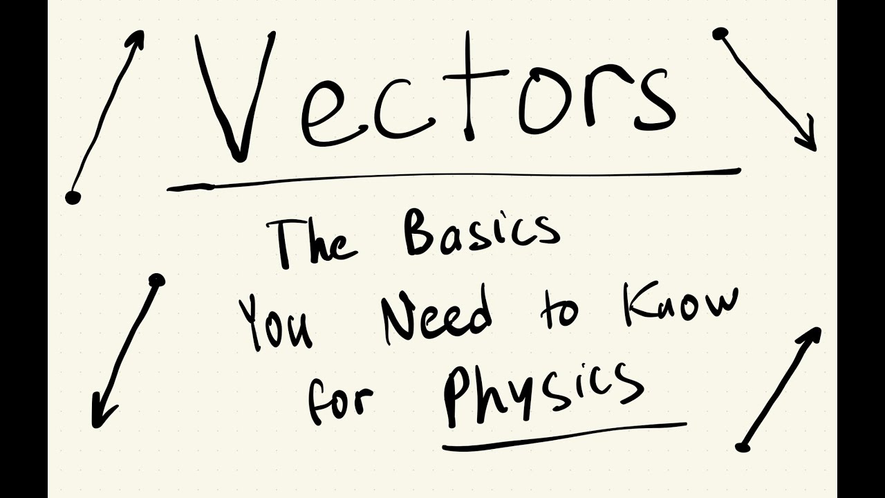 Vectors: Fundamentals You Need to Know for Physics