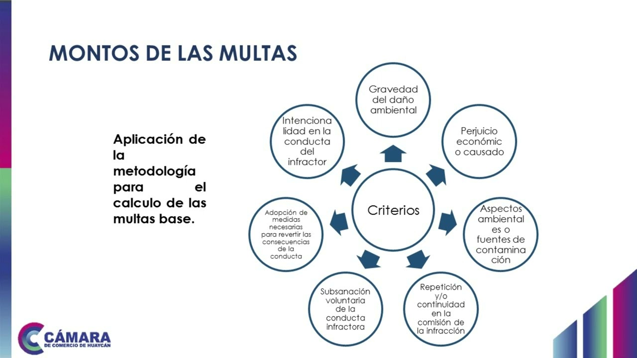 FAC1M2 - Modelos institucionales para la fiscalización - Parte 3