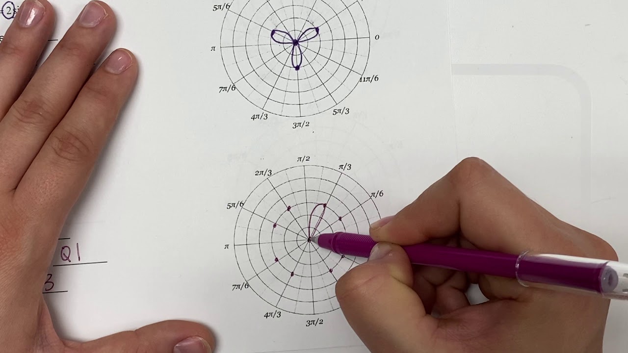 Rose Graphs