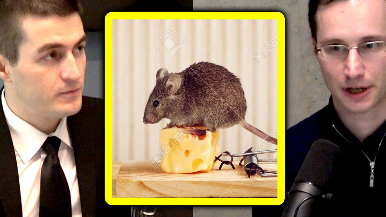 What Is Reinforcement Learning? | Sergey Levine and Lex Fridman