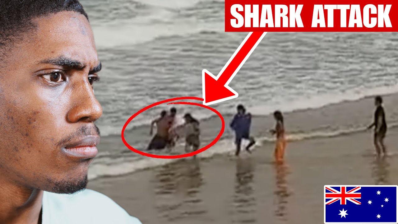 American Reacts to Tragic Australian Shark Attack || Beach Closed