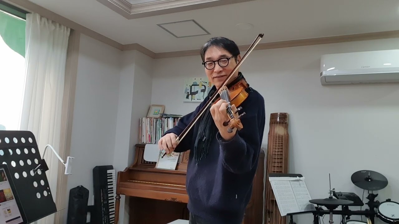 the level plain violin