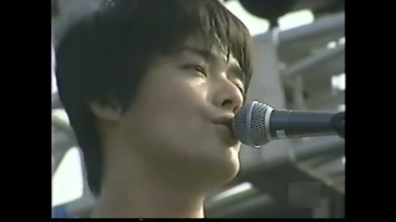the pillows - Hybrid Rainbow