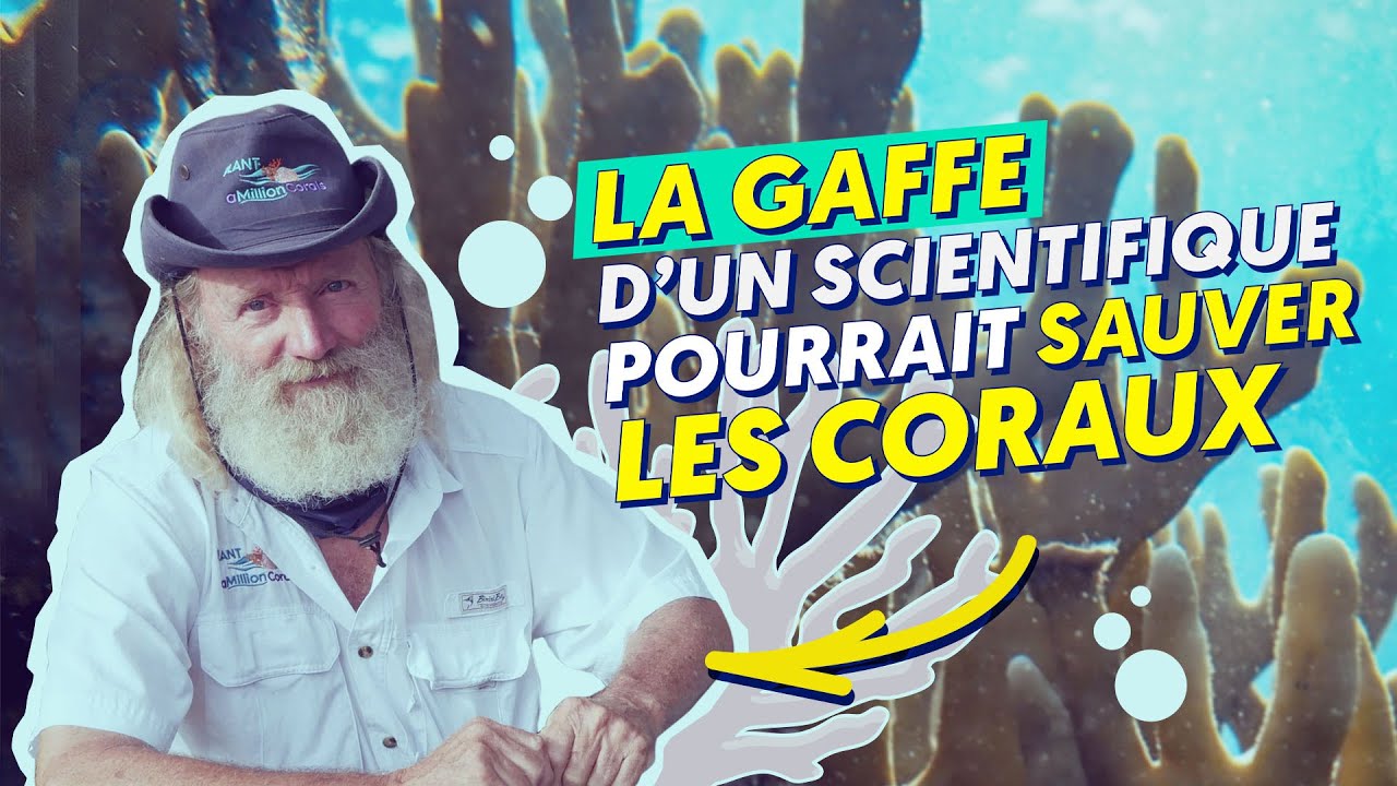 Comment cette gaffe pourrait sauver les coraux ?