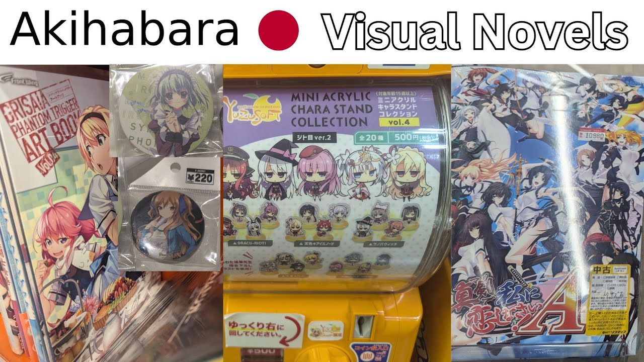 Guide to Buying Physical Visual Novel Stuff in Akihabara Japan (vlog tour)