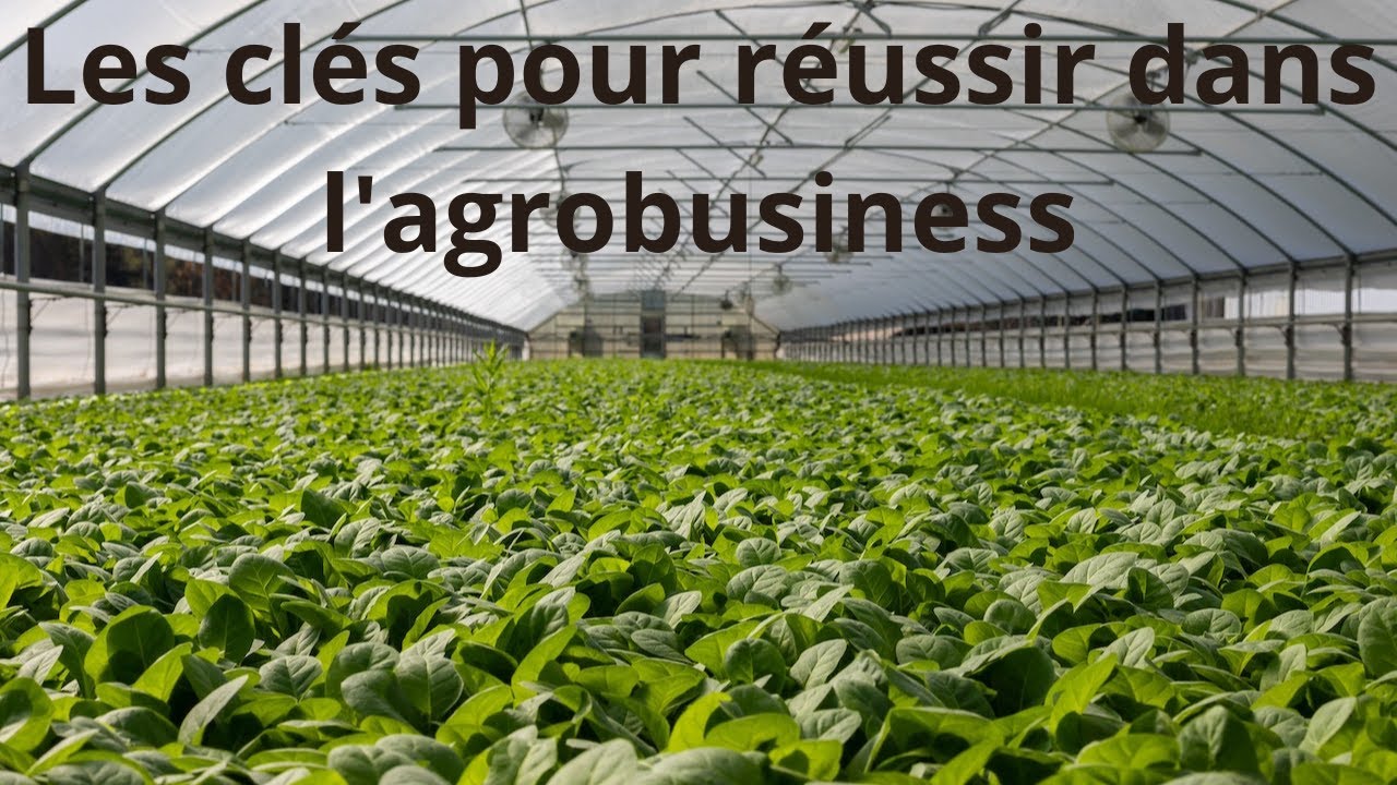 07 &eacute;tapes pour r&eacute;ussir dans l'agrobusiness