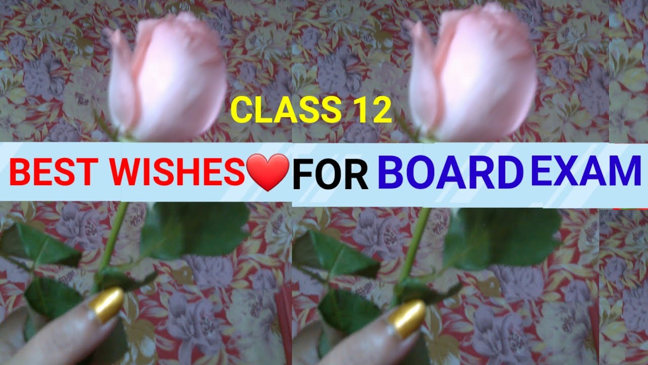 Best Wishes For Boards Exam | Class 12 |