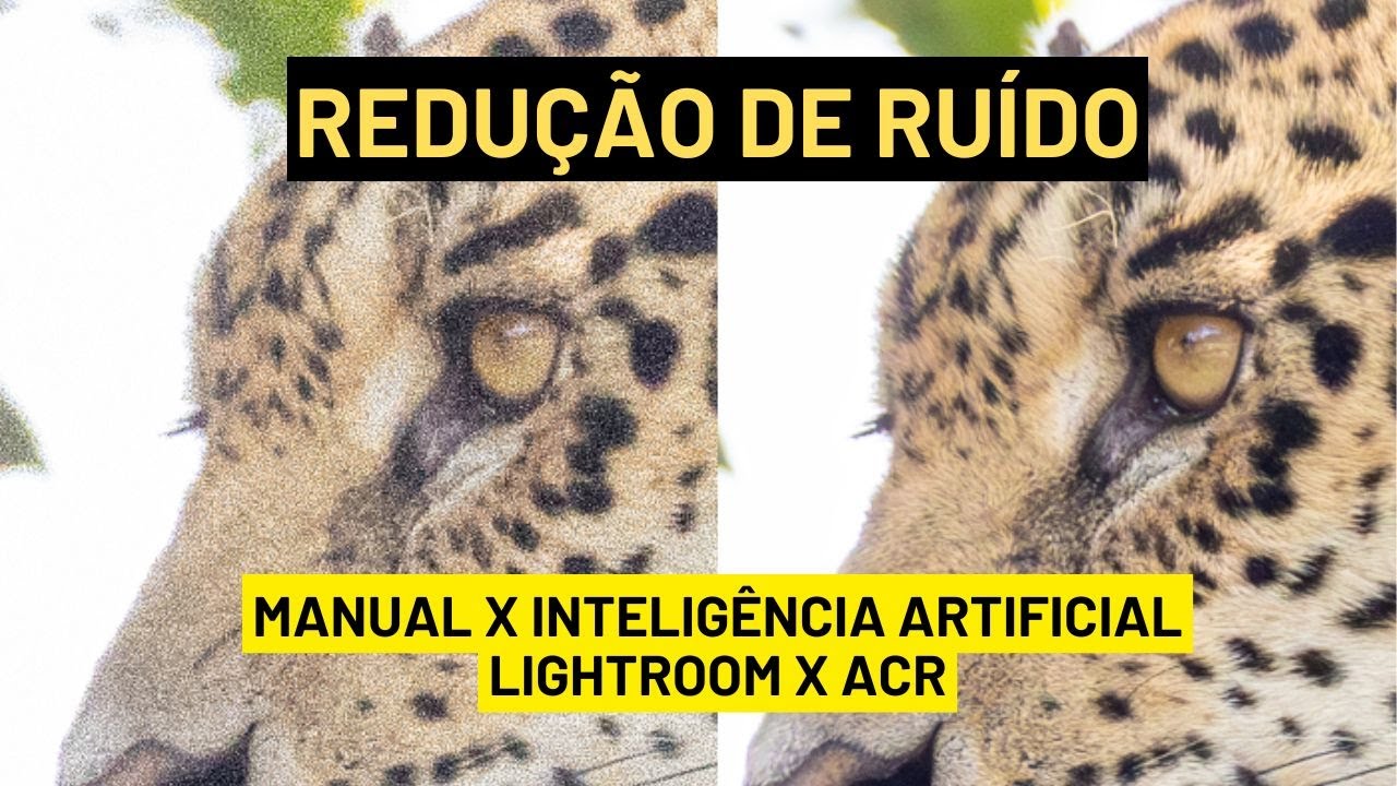 Redução de Ruído: Manual X Inteligência Artificial, Lightroom Classic X Adobe Camera Raw