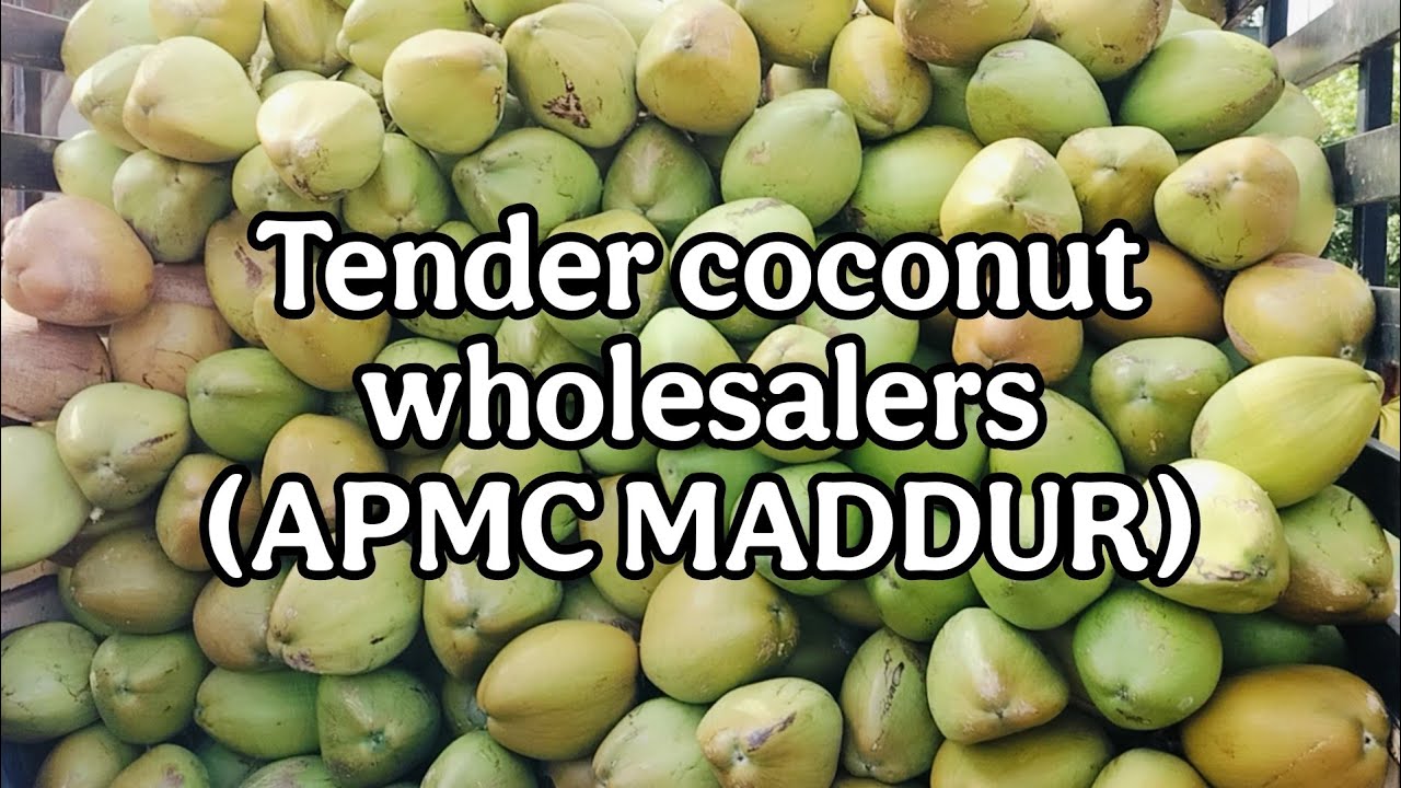 Tender coconut market Maddur (APMC)