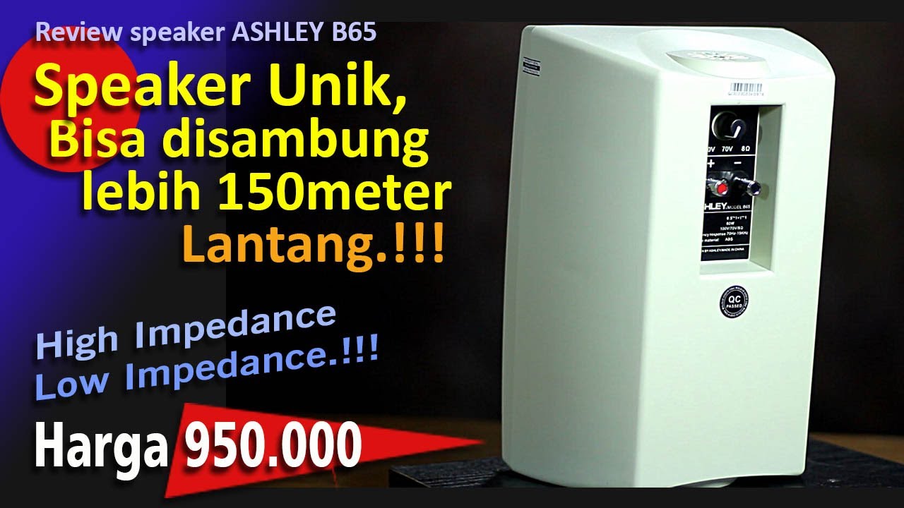 Speaker Unik, Bisa disambung lebih 150 meter, Ashley B65
