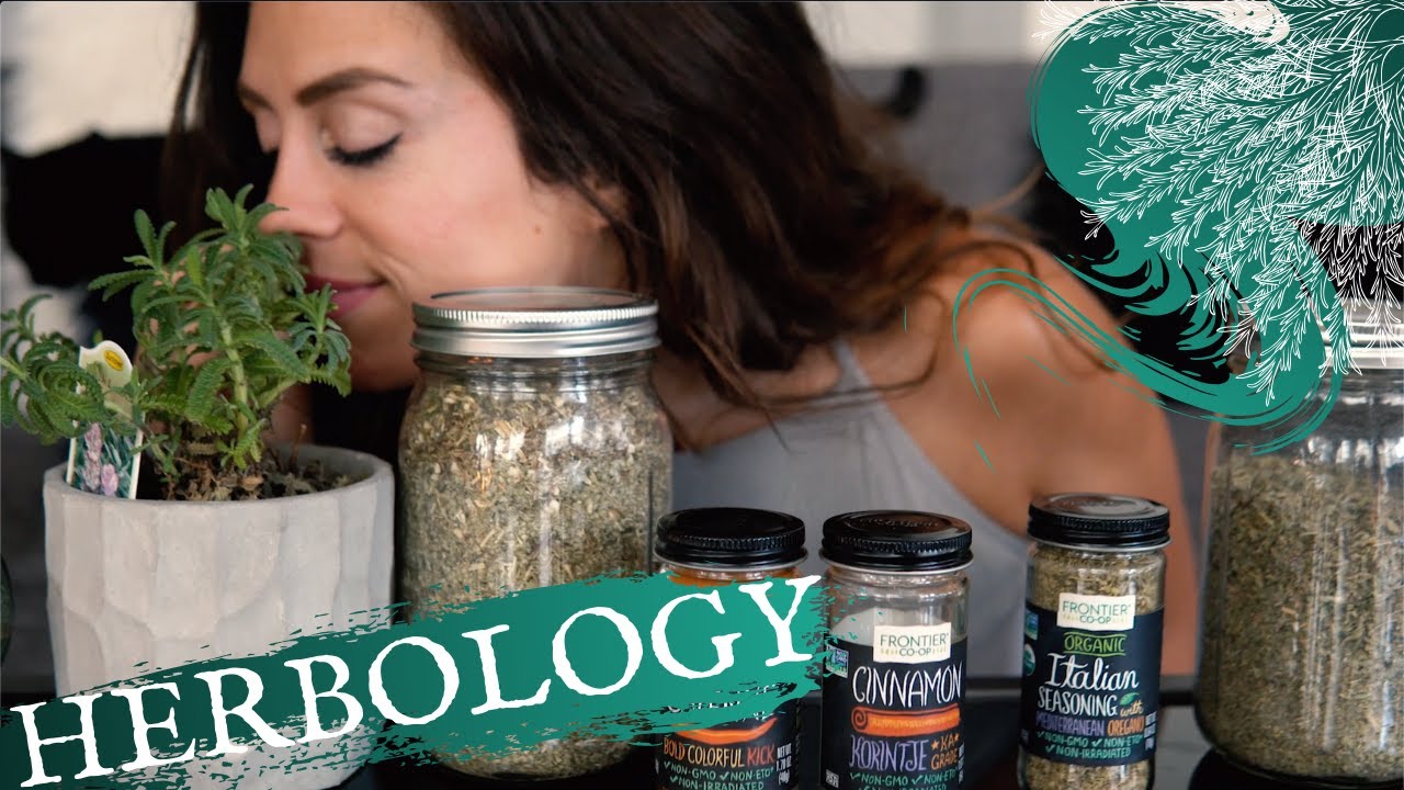 Natural Healing Remedies! Better Sleep, Sex & Success | Herbs for Magic & Spells. Witchcraft 101