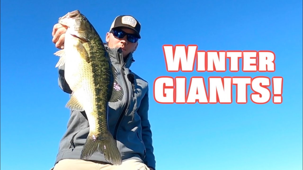 How to FIND and CATCH BIG Bass all early Winter! - Lake Lanier Spotted Bass