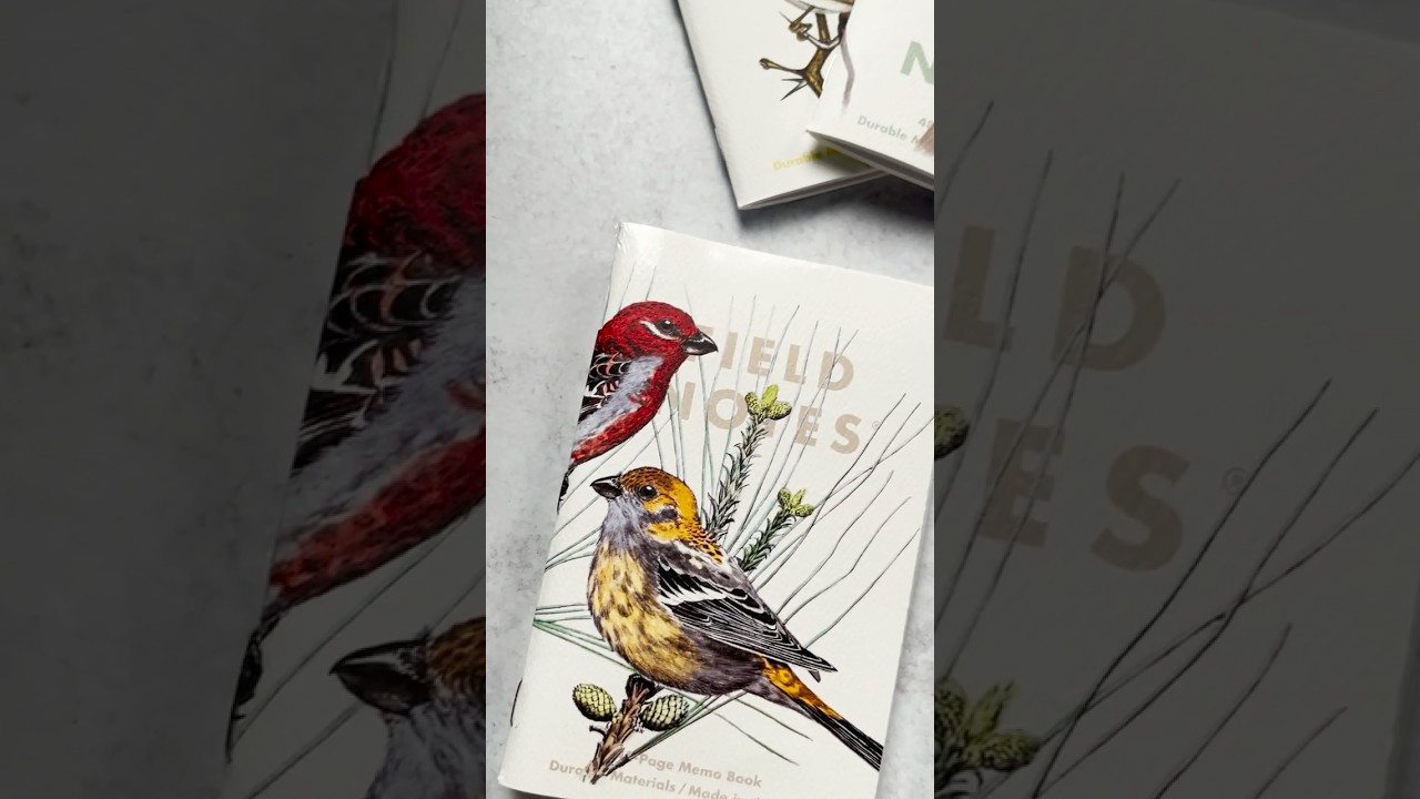 Field Notes Fall 2024: Birds & Trees of North America &ndash;  Limited Edition!  #birds #fieldnotes #memo