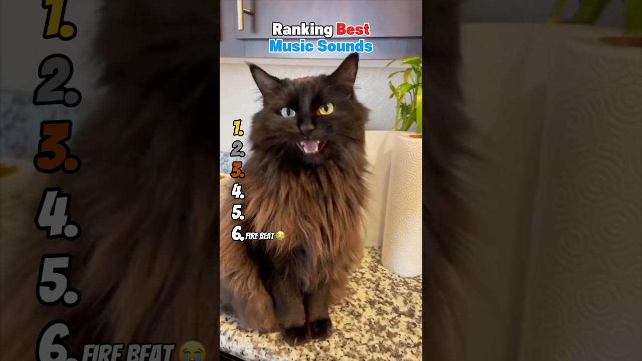 Ranking Best Music Sounds 😂