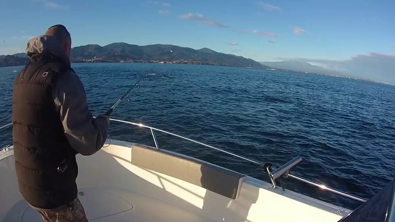 Peche sur très belles chasses de thons